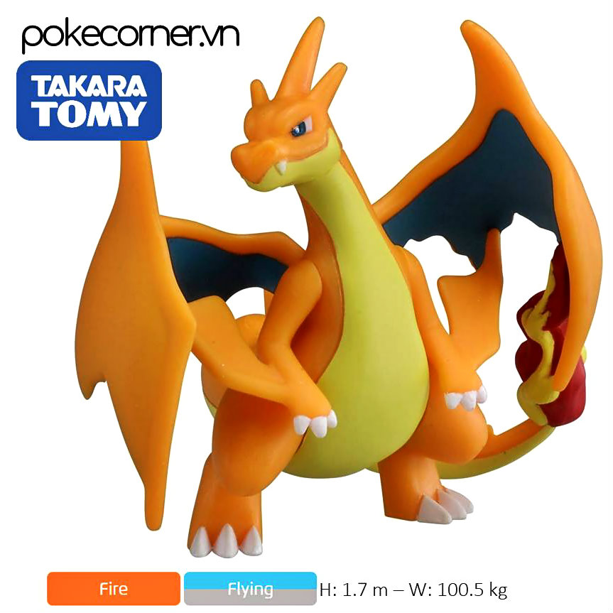 anh charizard