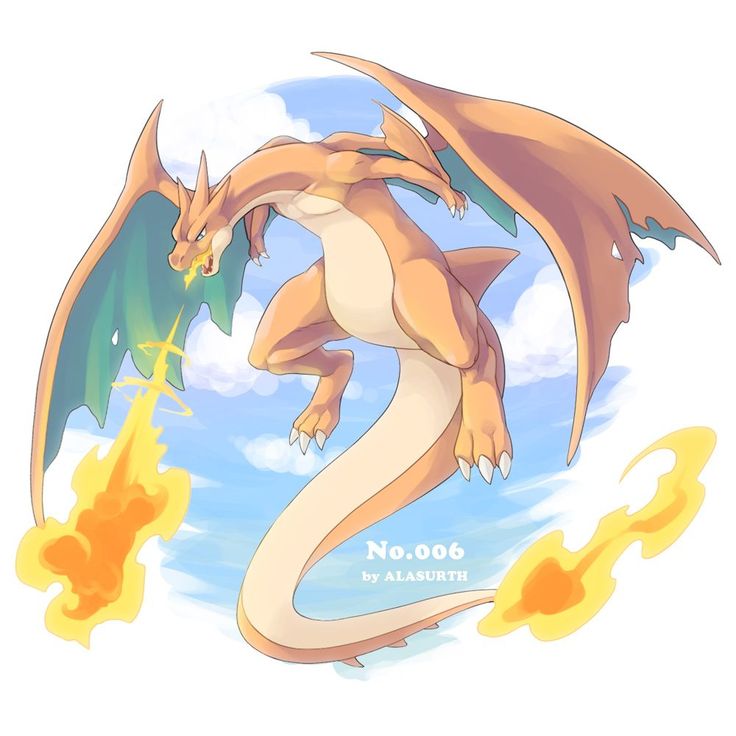 anh charizard
