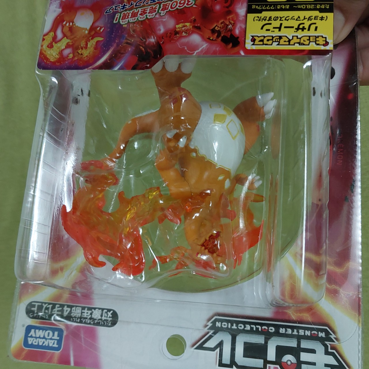 anh charizard