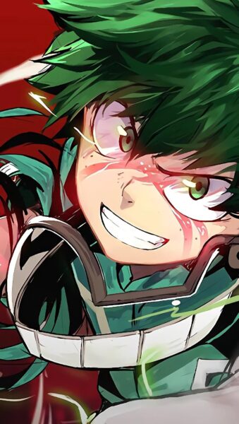 anh deku