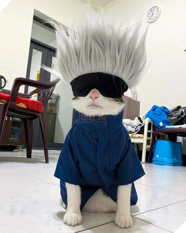 anh gojo