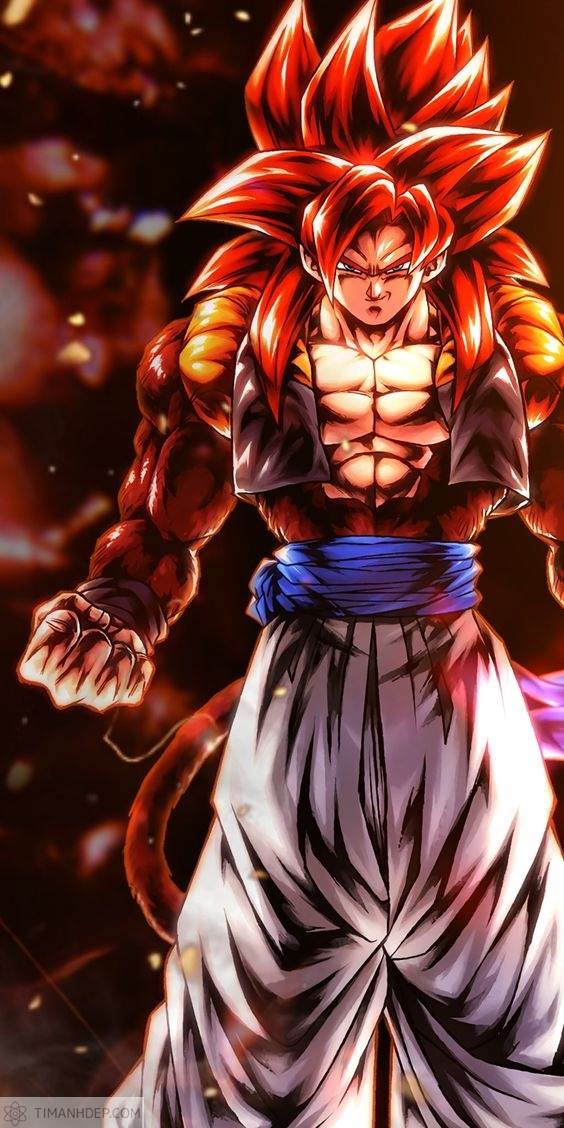 anh goku
