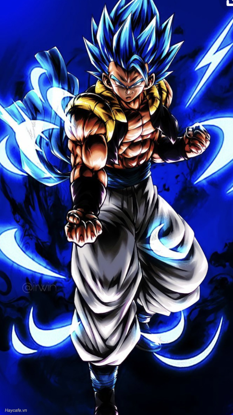 anh goku