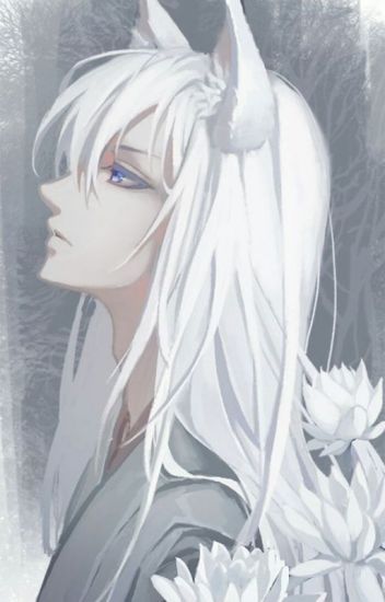 anh ho ly anime