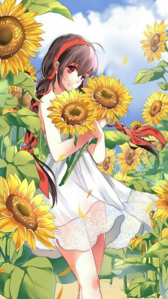 anh hoa huong duong anime anh hoa huong duong anime