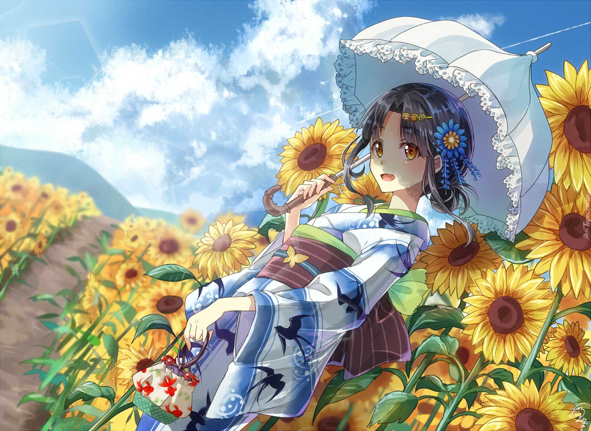 anh hoa huong duong anime anh hoa huong duong anime