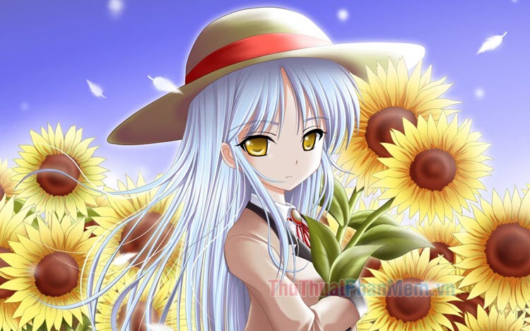 anh hoa huong duong anime anh hoa huong duong anime