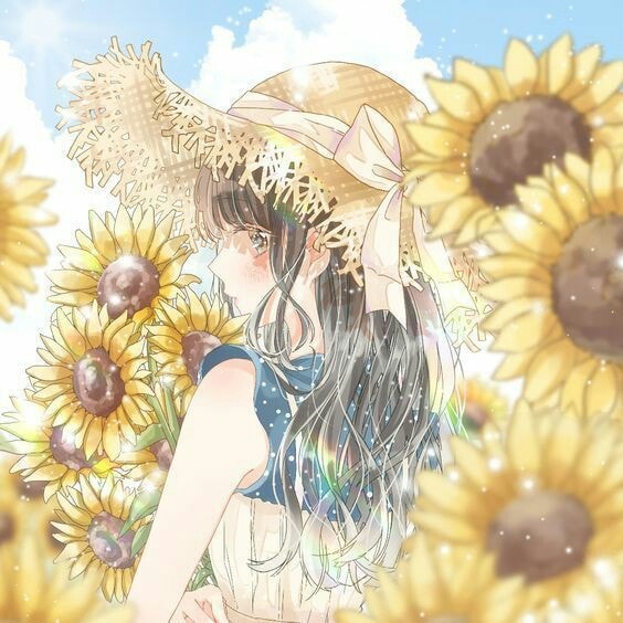 anh hoa huong duong anime
