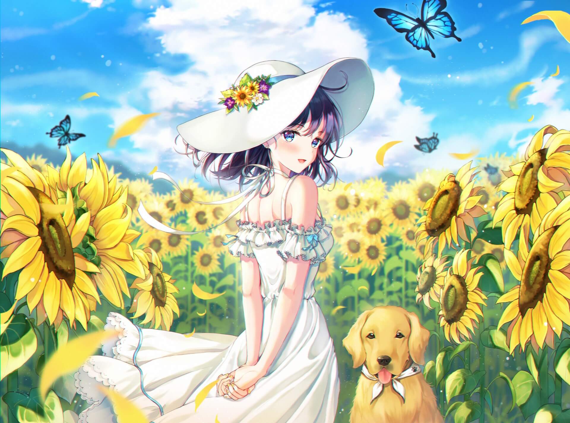 anh hoa huong duong anime