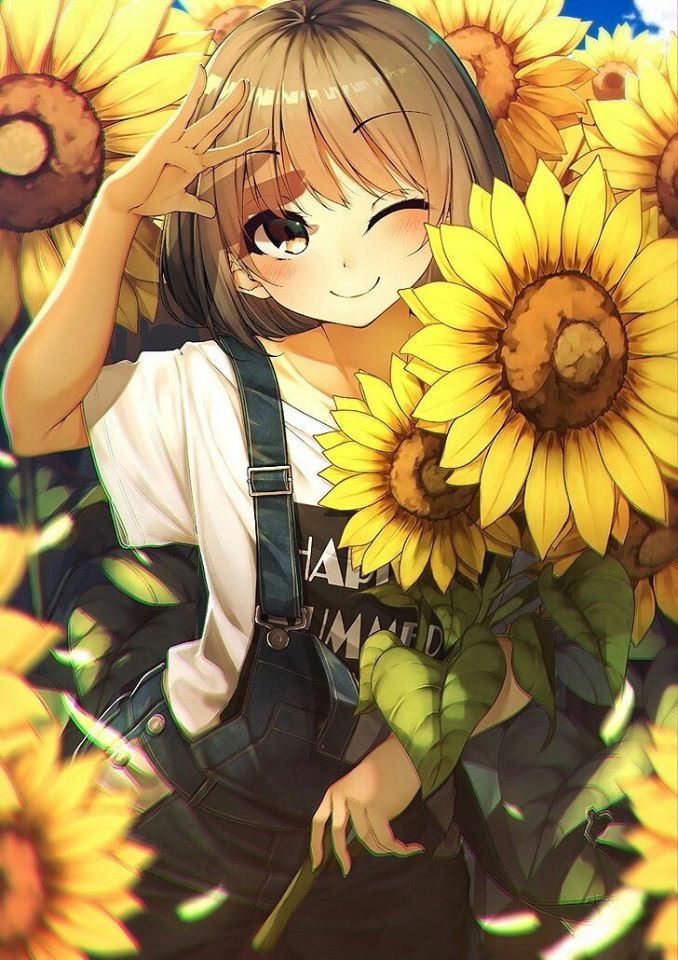 anh hoa huong duong anime