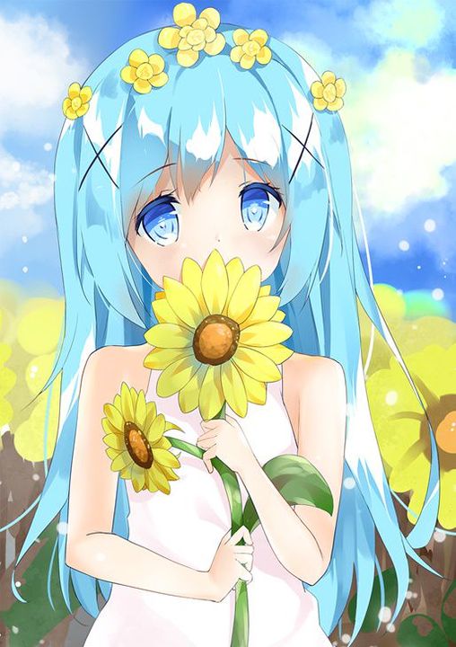 anh hoa huong duong anime