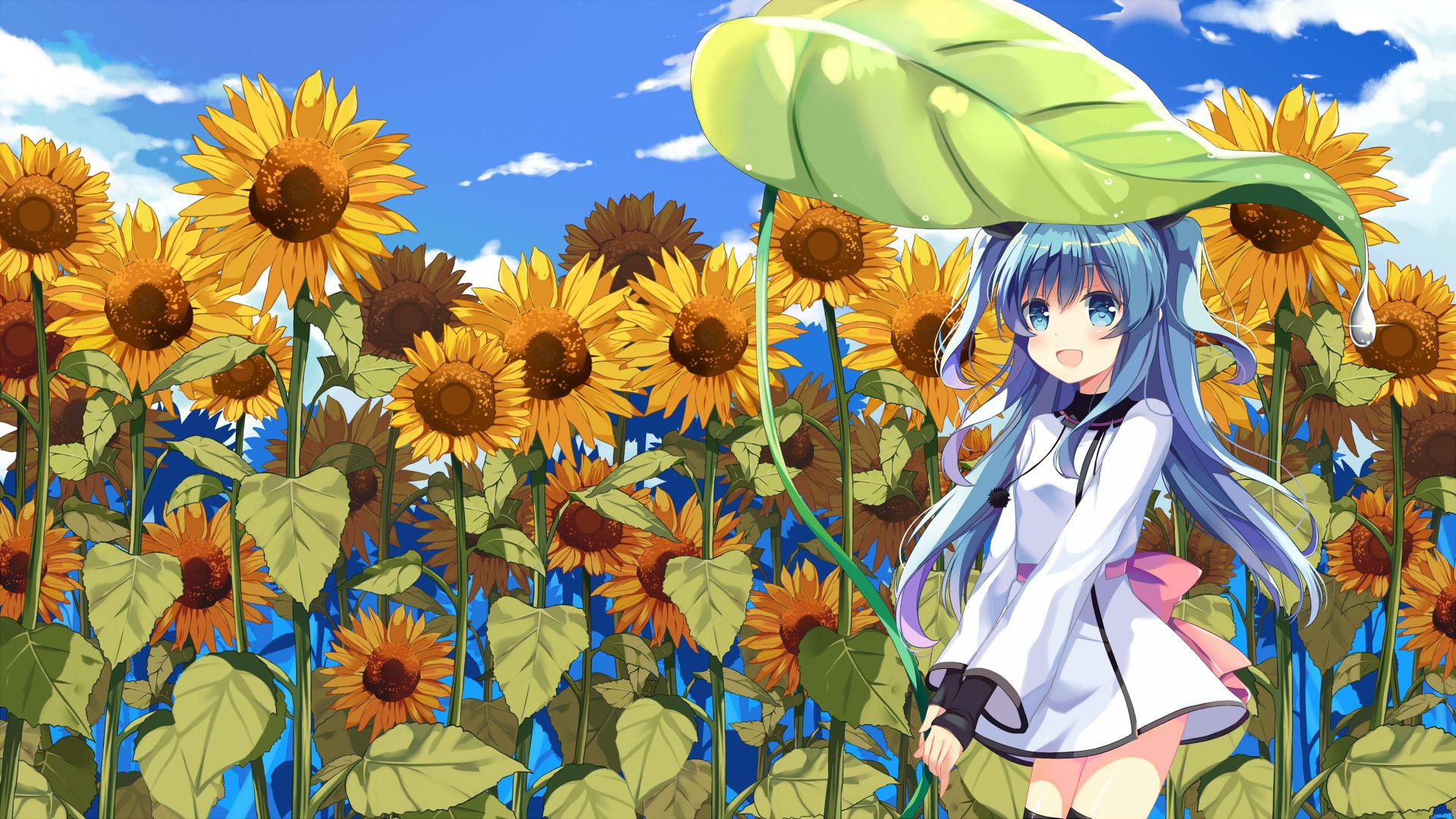 anh hoa huong duong anime