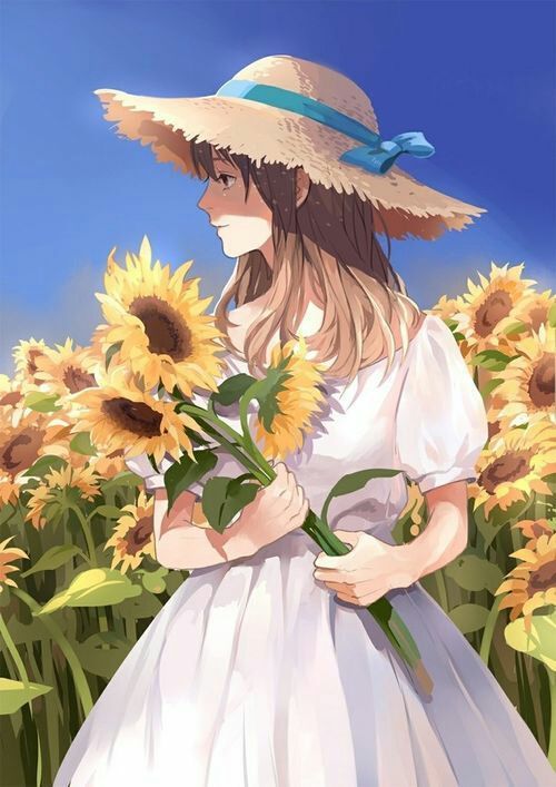 anh hoa huong duong anime anh hoa huong duong anime