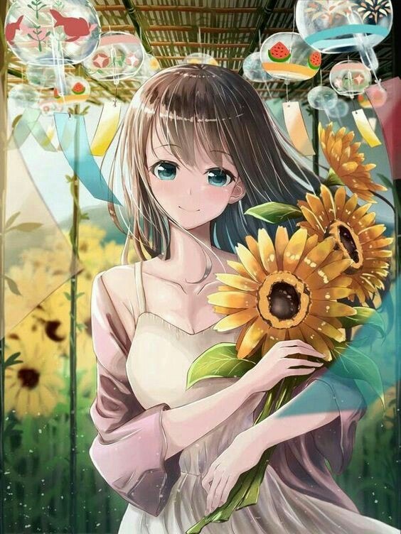anh hoa huong duong anime