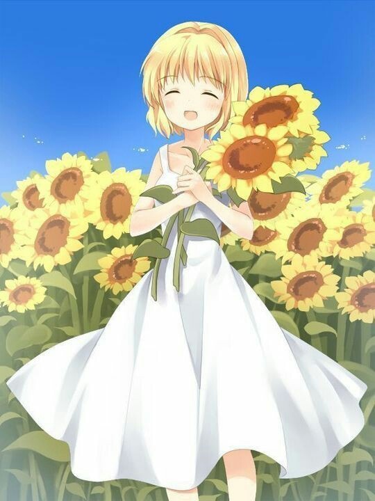 anh hoa huong duong anime