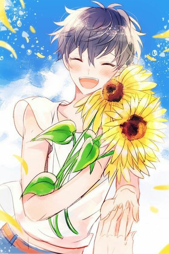 anh hoa huong duong anime