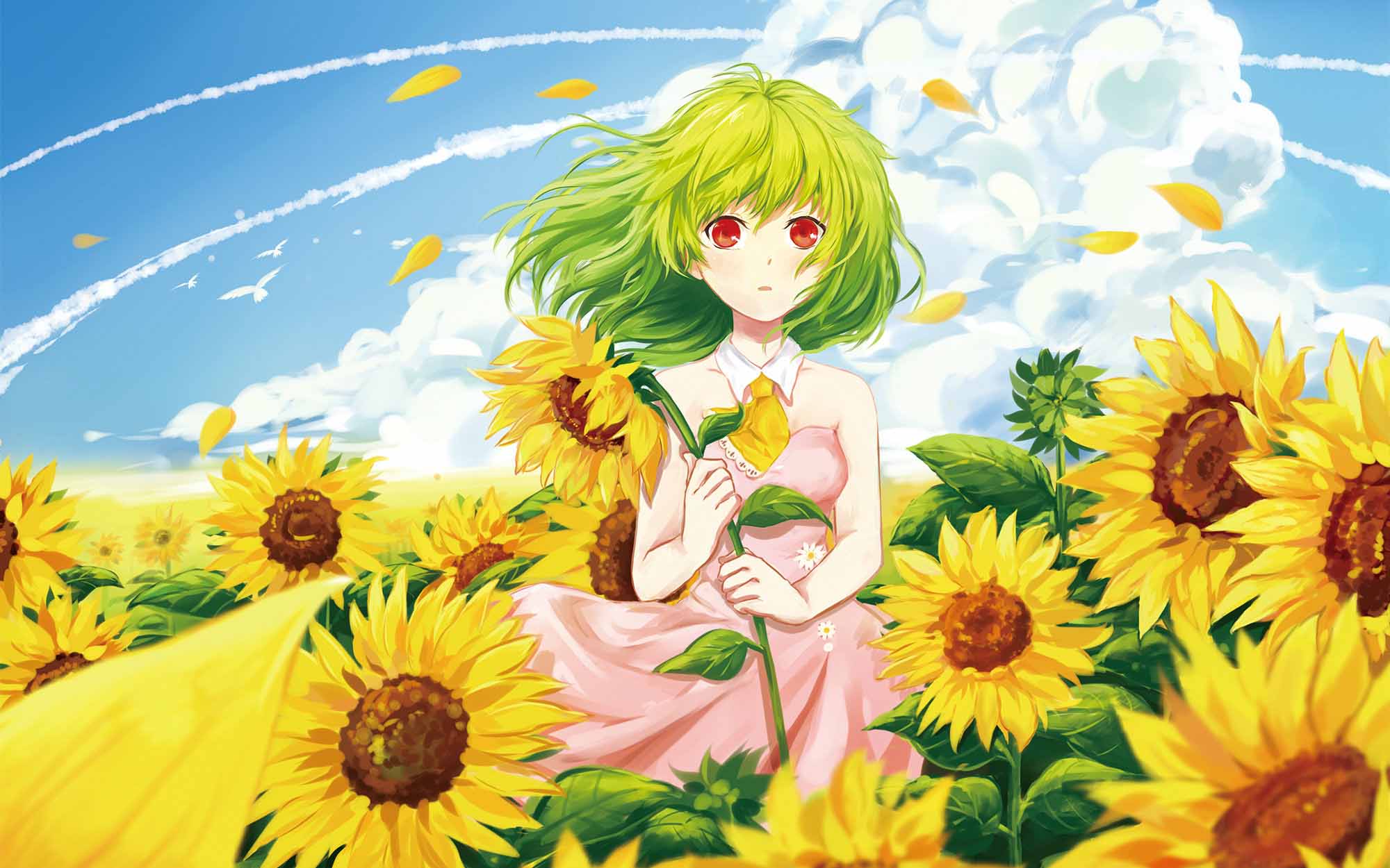 anh hoa huong duong anime