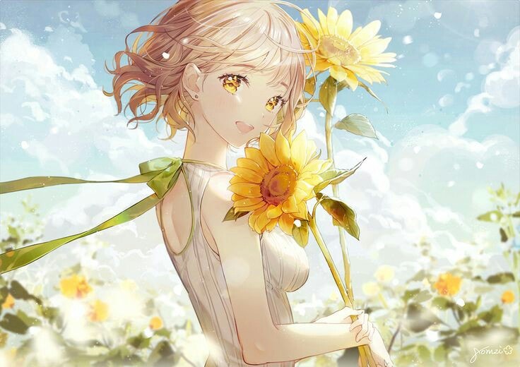 anh hoa huong duong anime