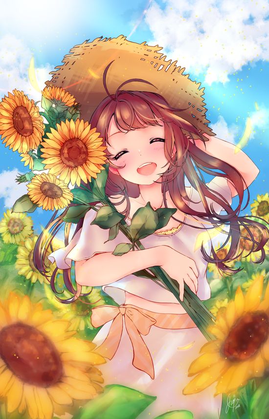 anh hoa huong duong anime anh hoa huong duong anime