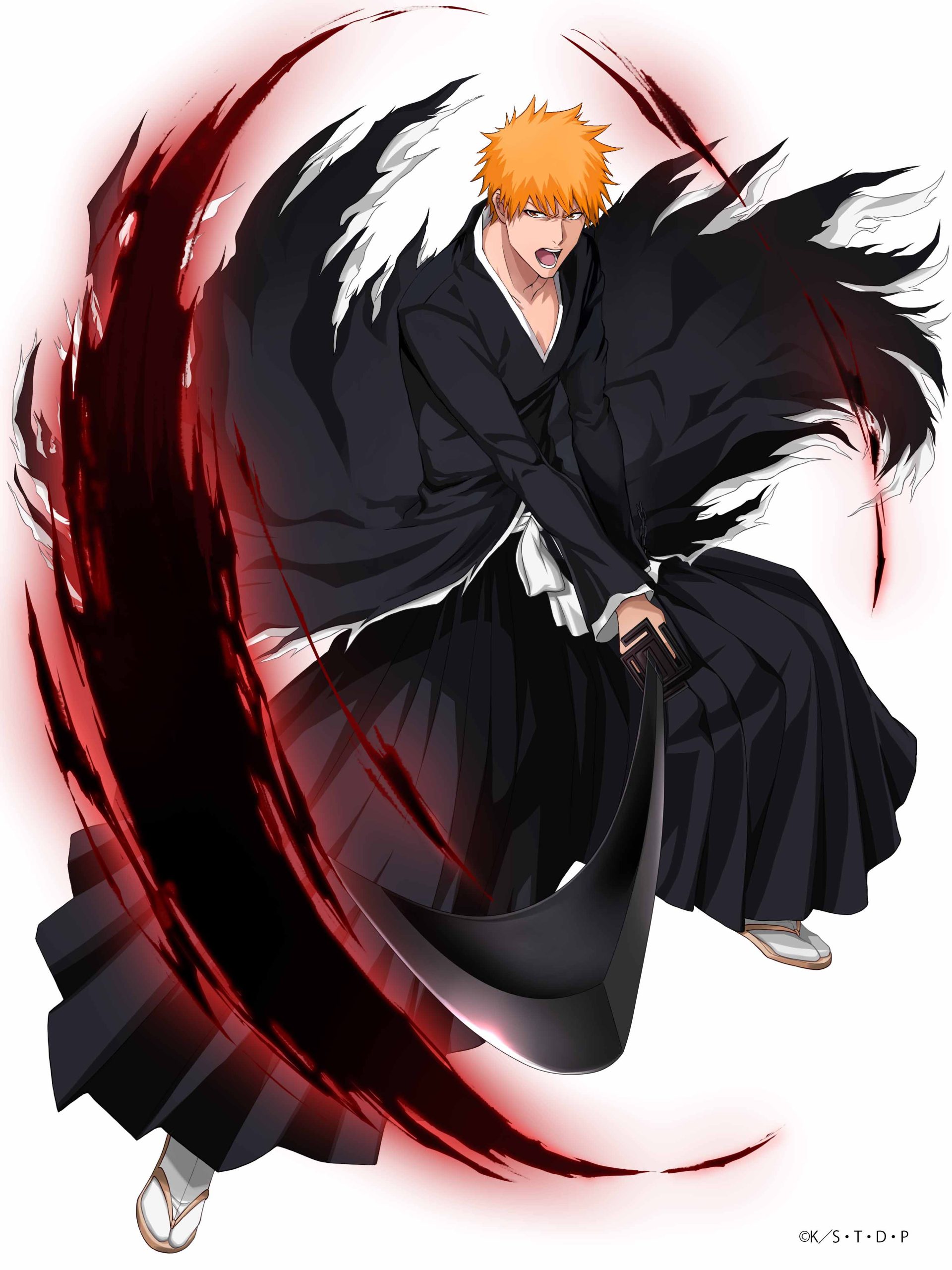 anh ichigo kurosaki