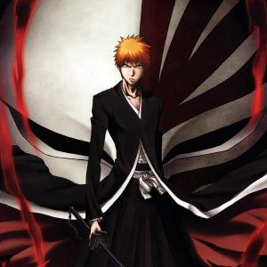 anh ichigo kurosaki