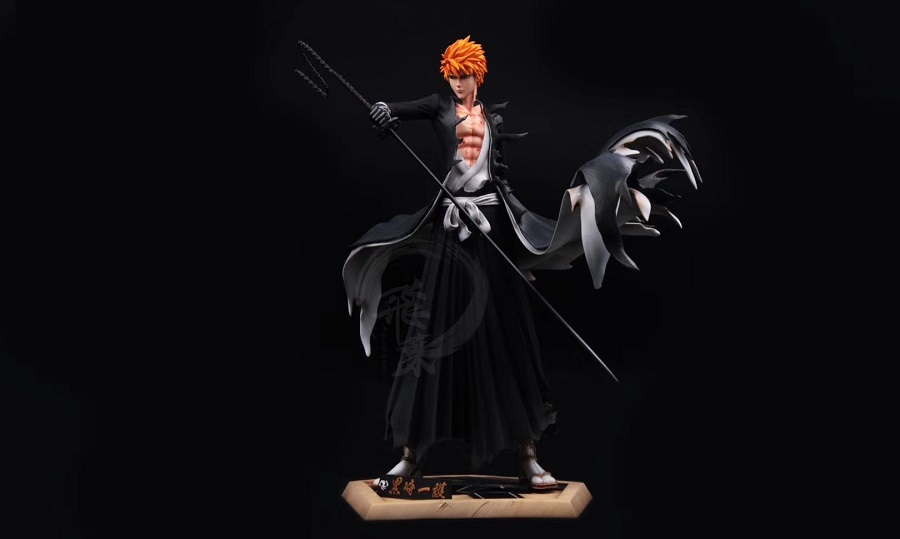 anh ichigo kurosaki