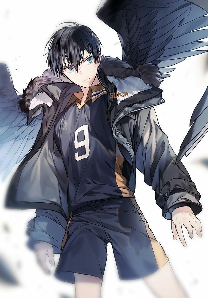 anh kageyama anh kageyama