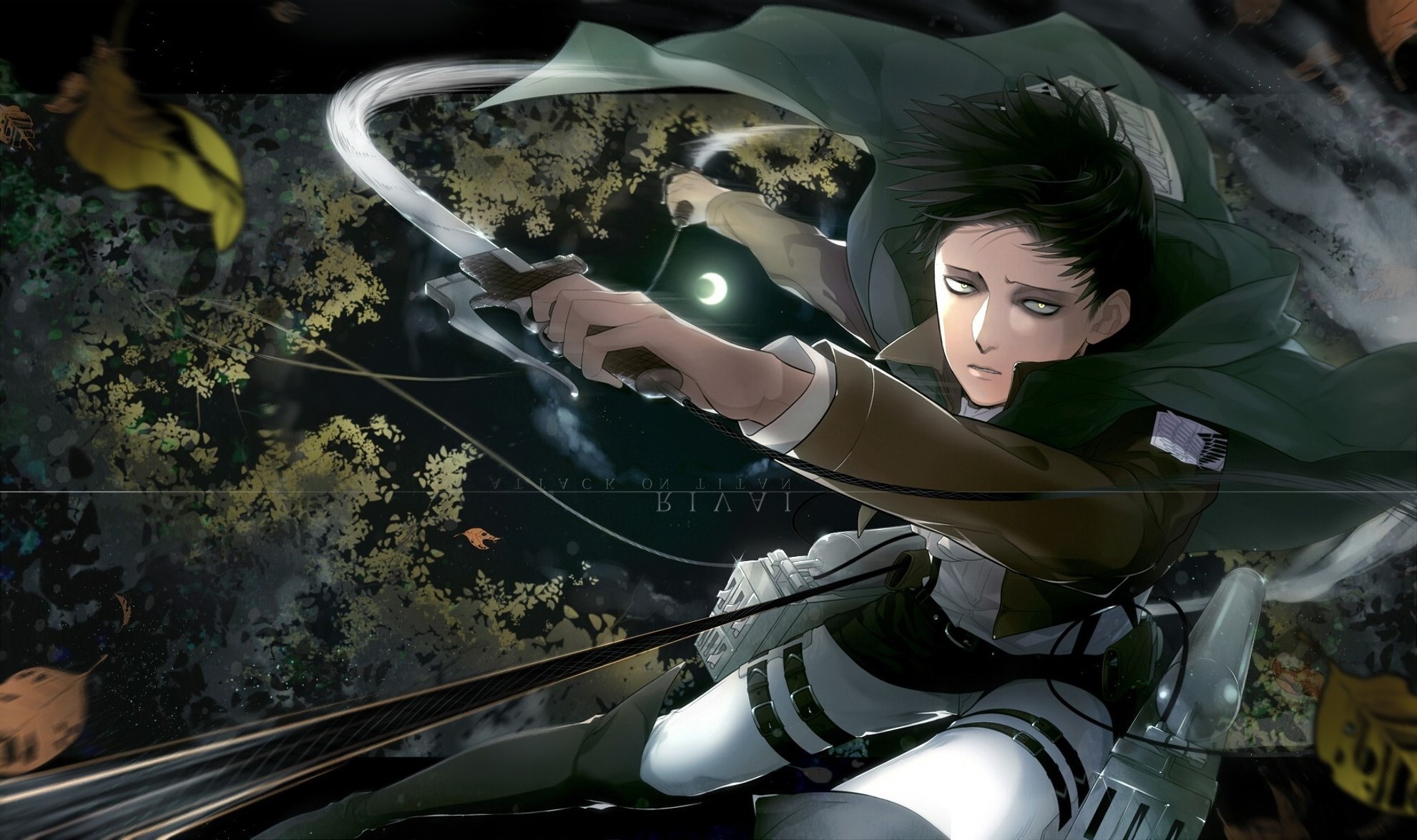 anh levi anh levi
