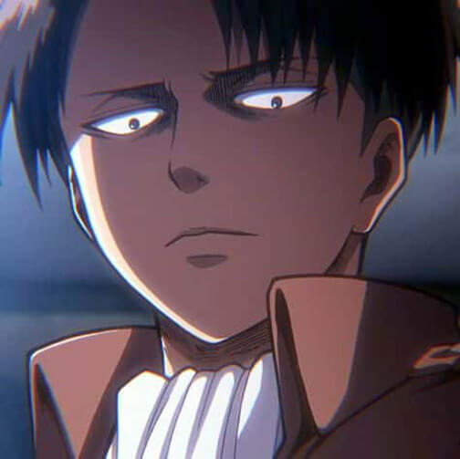 anh levi anh levi