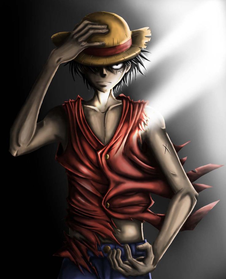 anh luffy