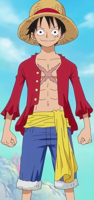 anh luffy