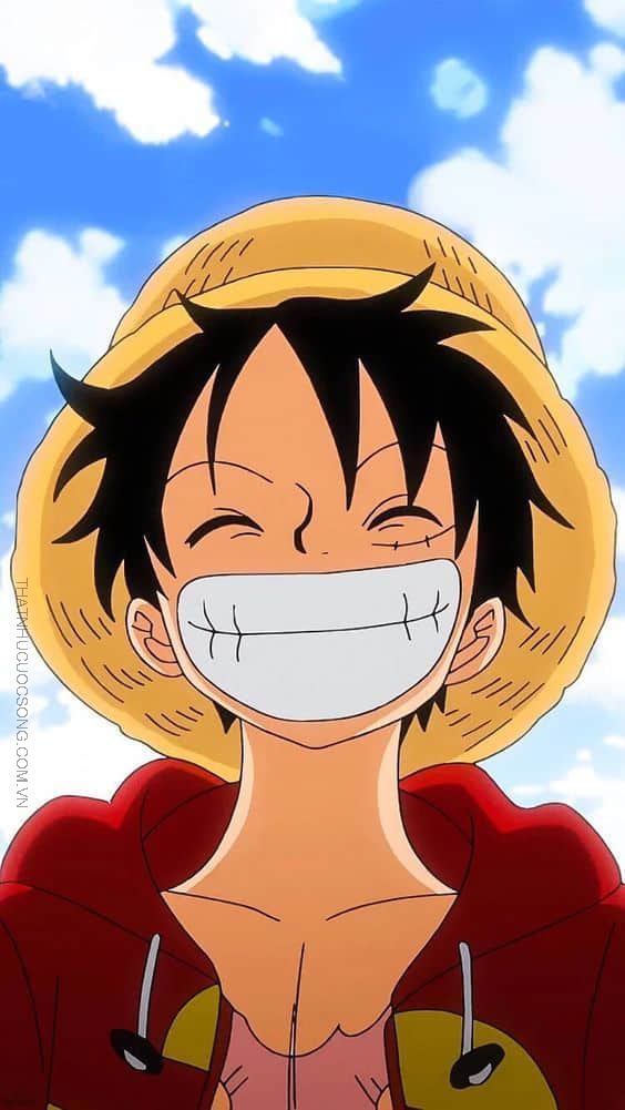 anh luffy