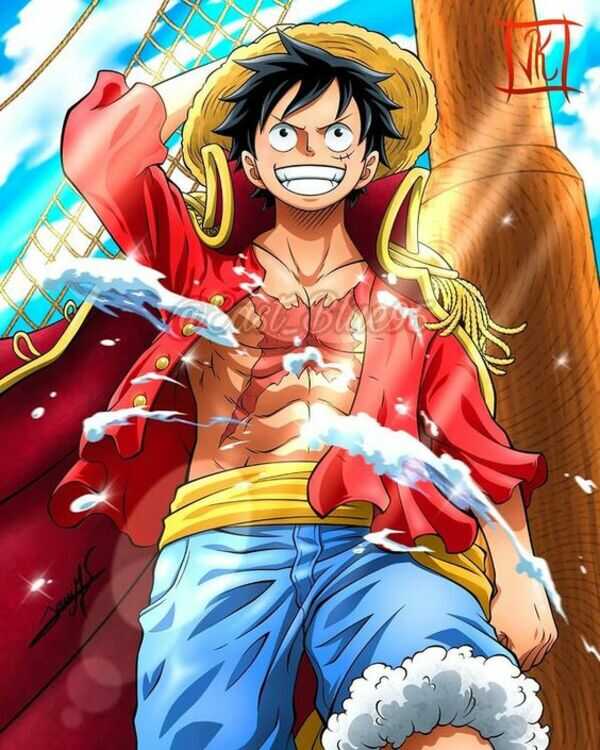 anh luffy