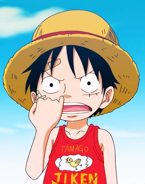 anh luffy