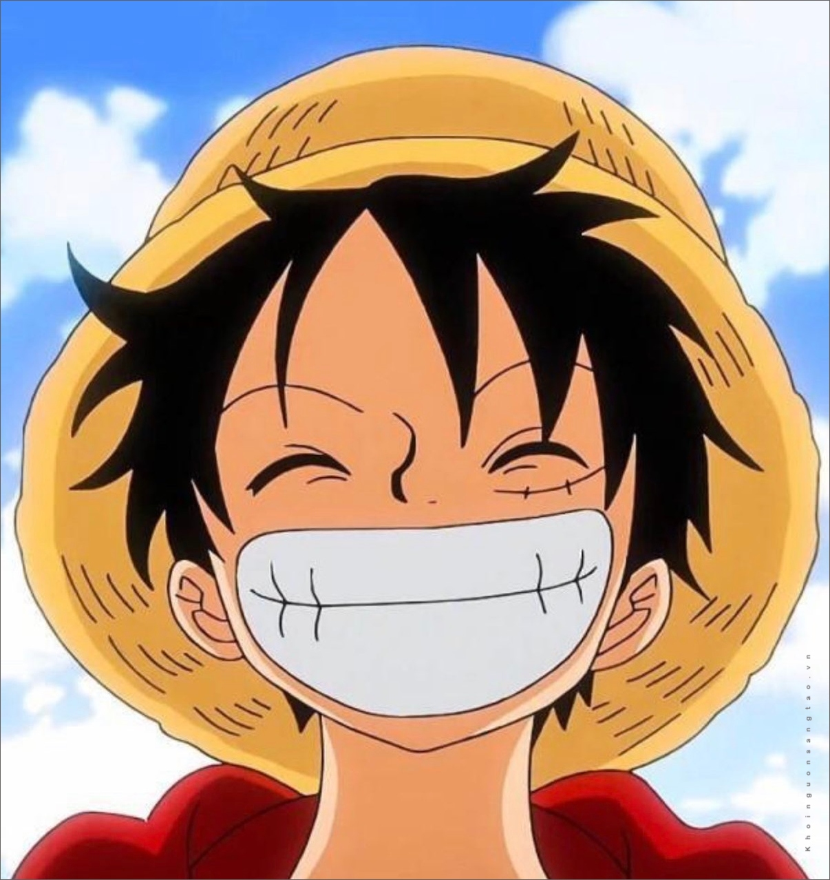 anh luffy