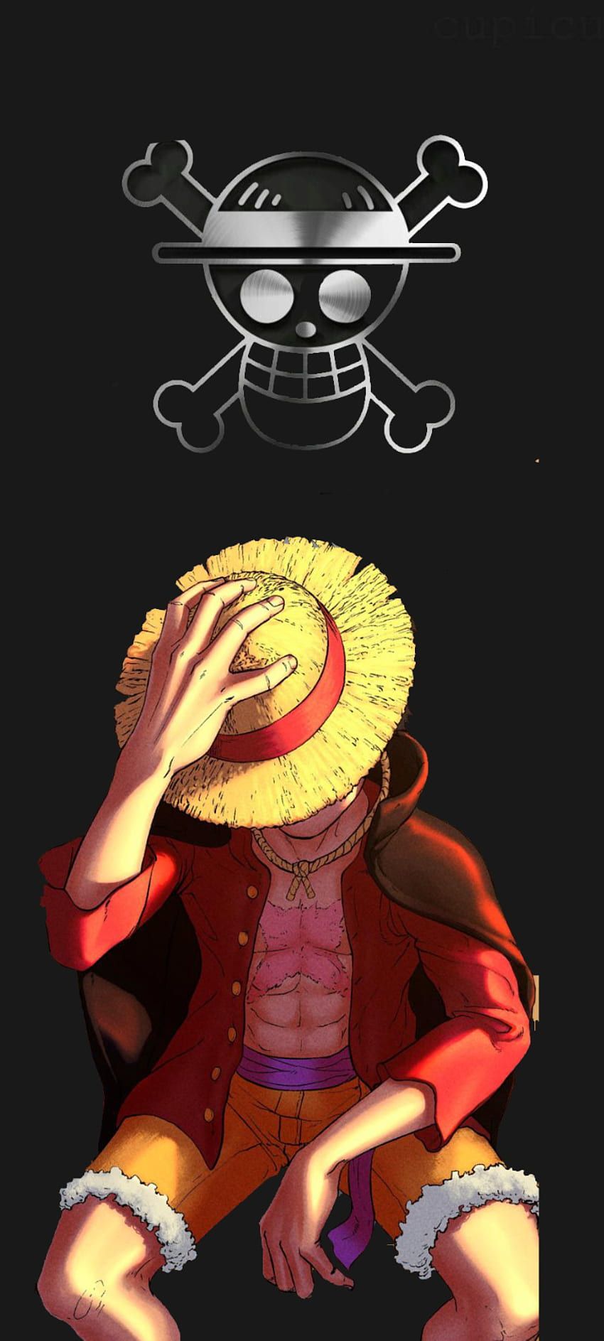 anh luffy
