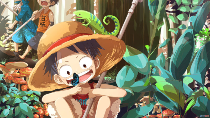 anh luffy