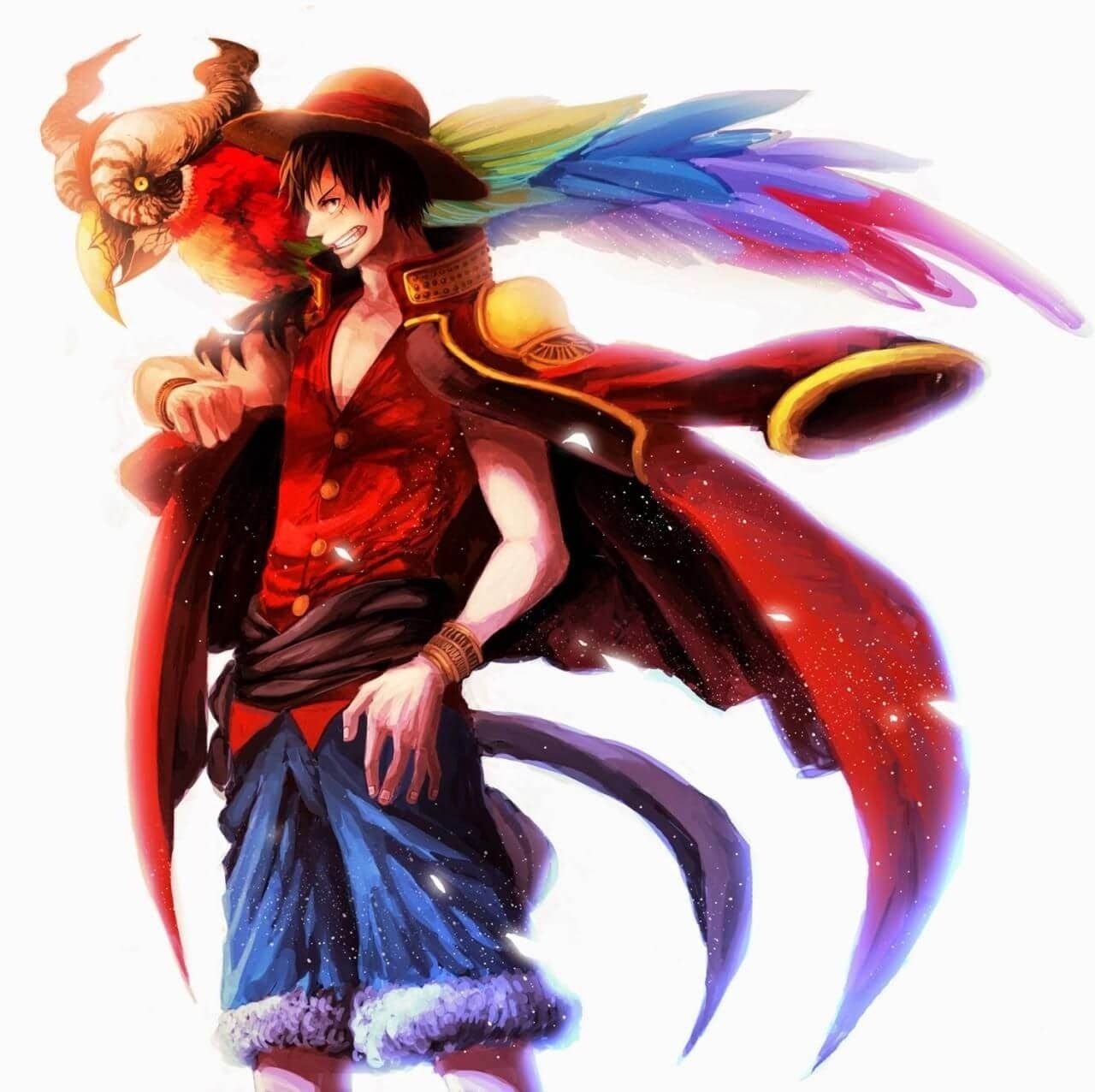 anh luffy
