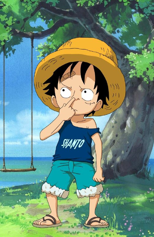 anh luffy