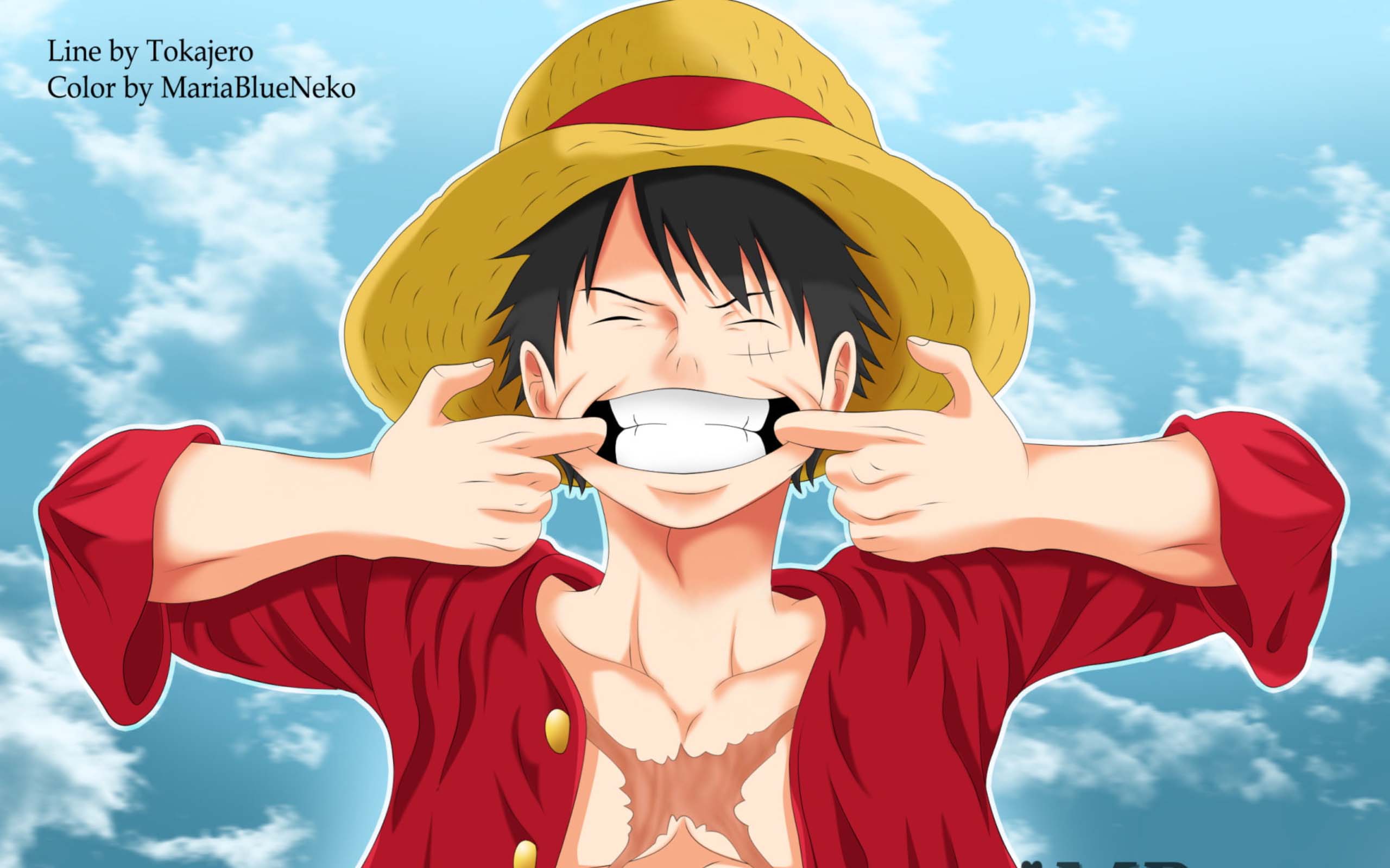 anh luffy