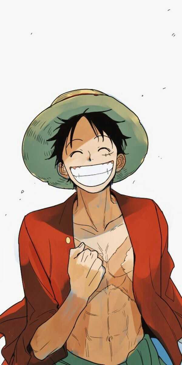 anh luffy