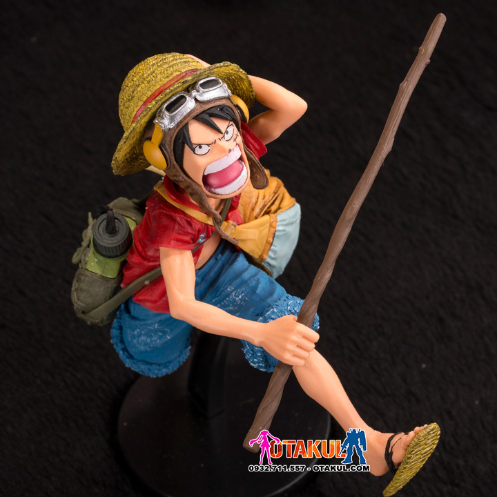 anh luffy