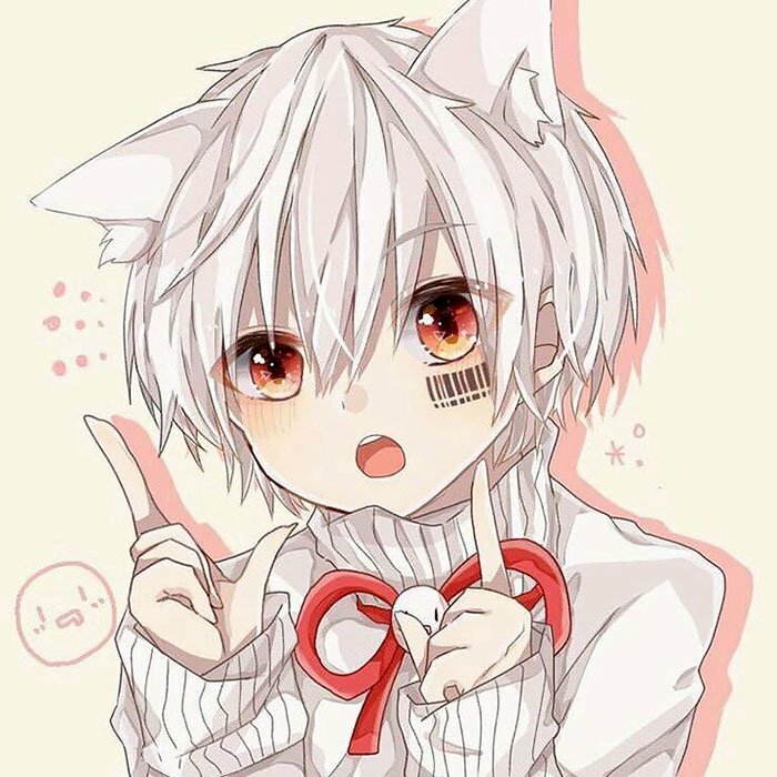 anh meo anime