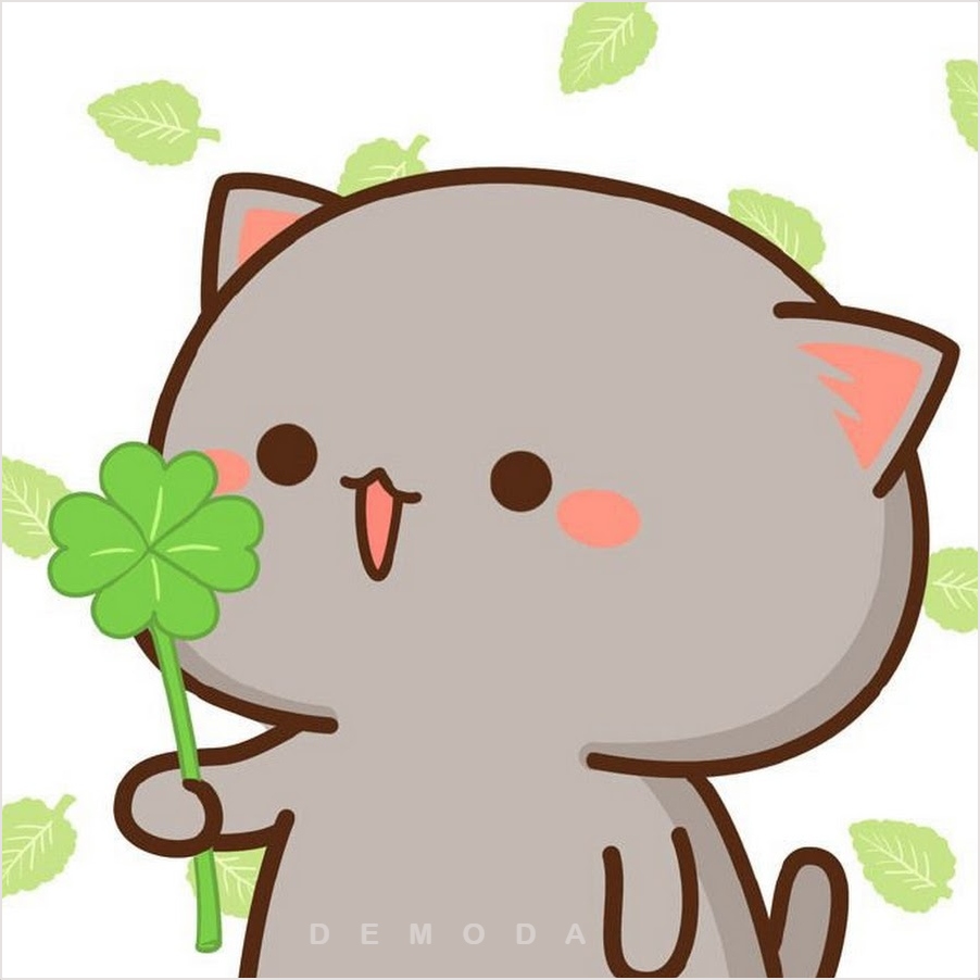 anh meo anime