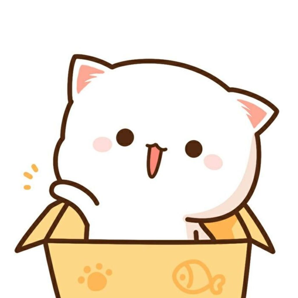 anh meo anime