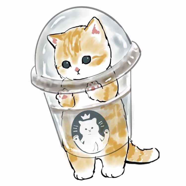 anh meo anime