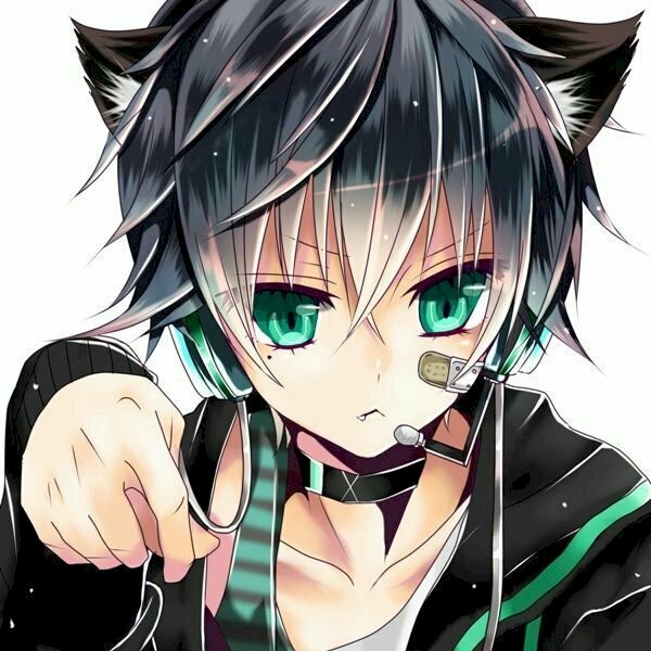 anh meo anime