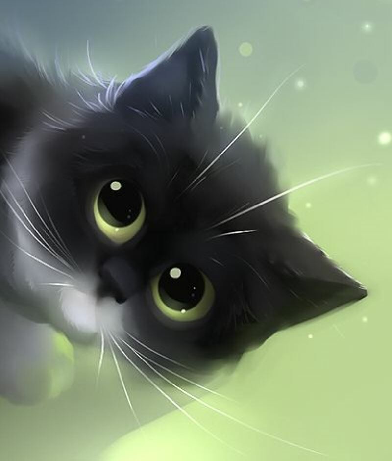 anh meo anime