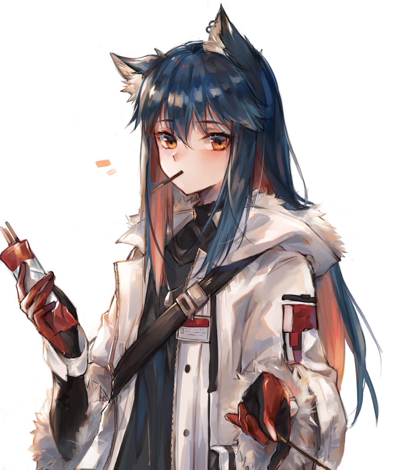anh meo anime