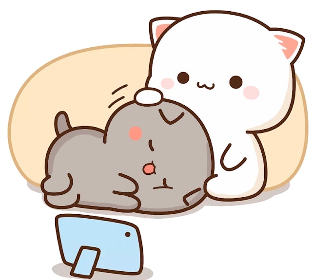 anh meo anime